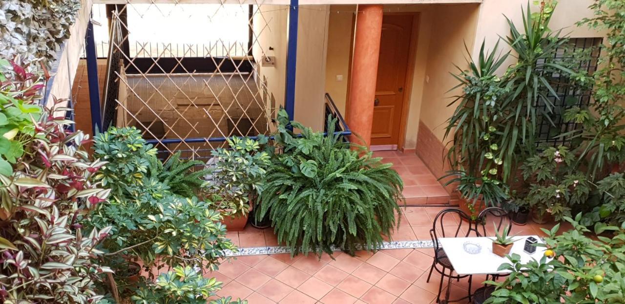 Apartamentos Sevilla Appartement